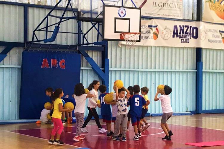 Pulcini e Paperine: come allenare la capacità di adattamento e trasformazione