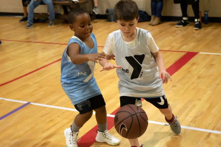 L'adattamento e la trasformazione, l'importanza dell'attivazione